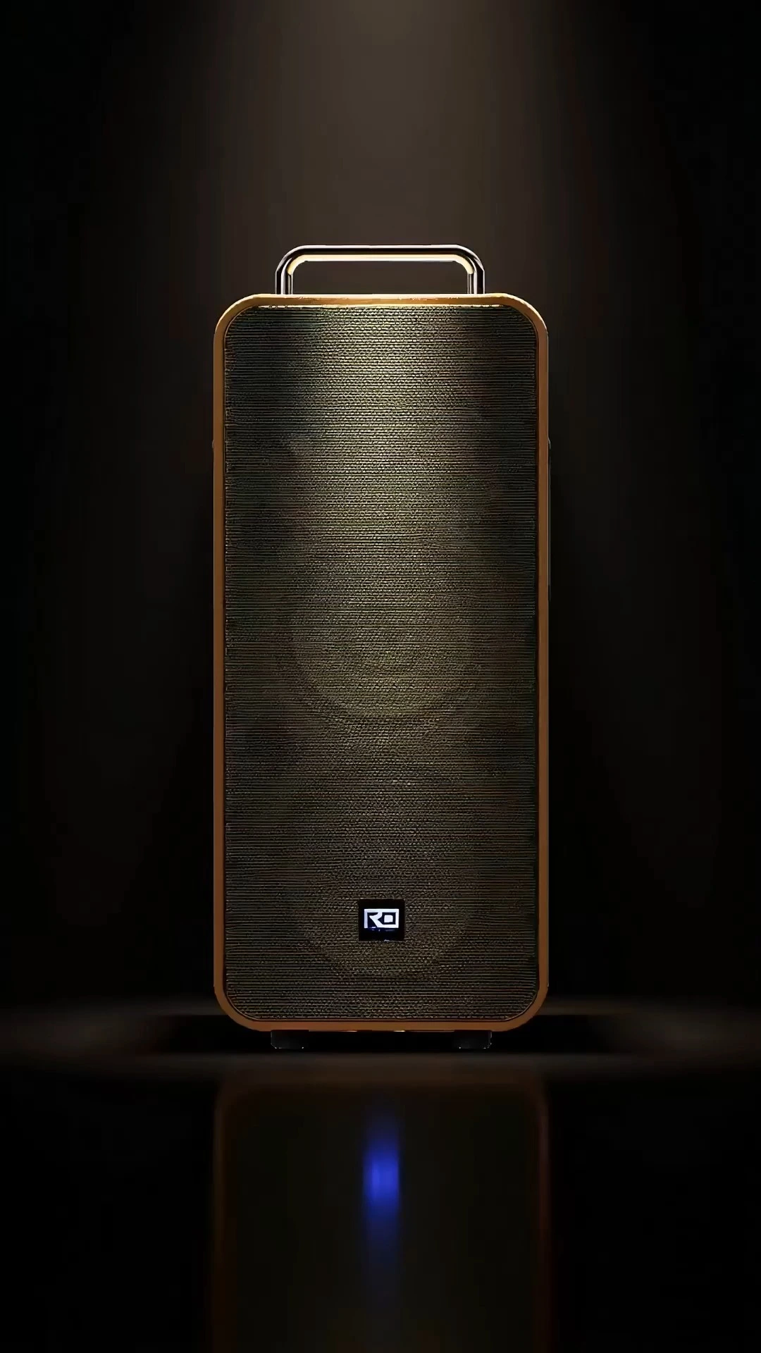 Enceinte de fête 160 W avec deux woofers de 25 cm | Deluxe AV AP-2811 1