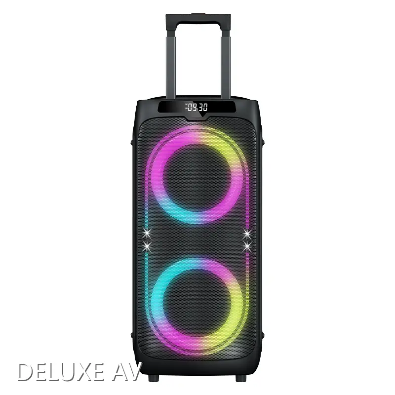 Custom Portable Speaker Factory Company 1