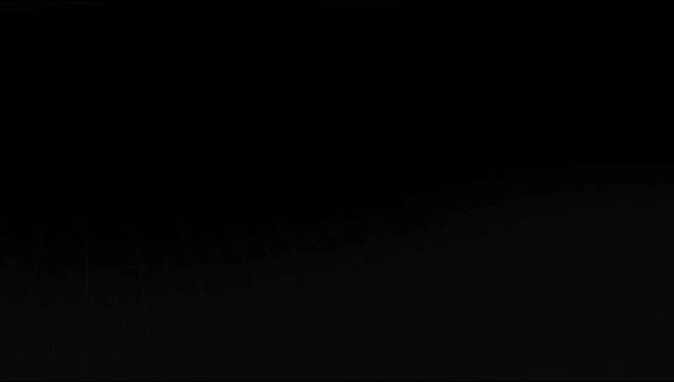 Security Entrance Sliding Gate Turnstile with Smart Access Control Solutions BLS-SG51 1