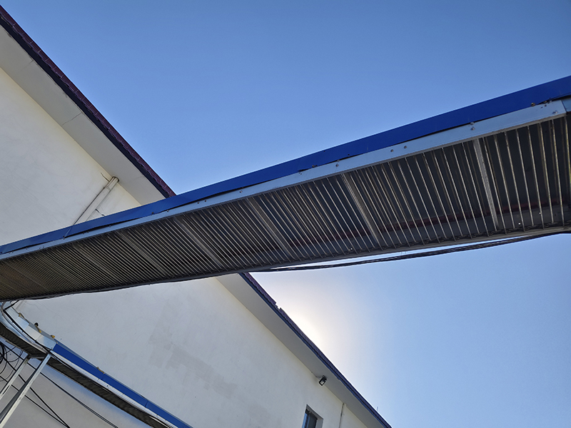 Egg Conveyor Belt Systems Product Wholesale - FAMOU 4