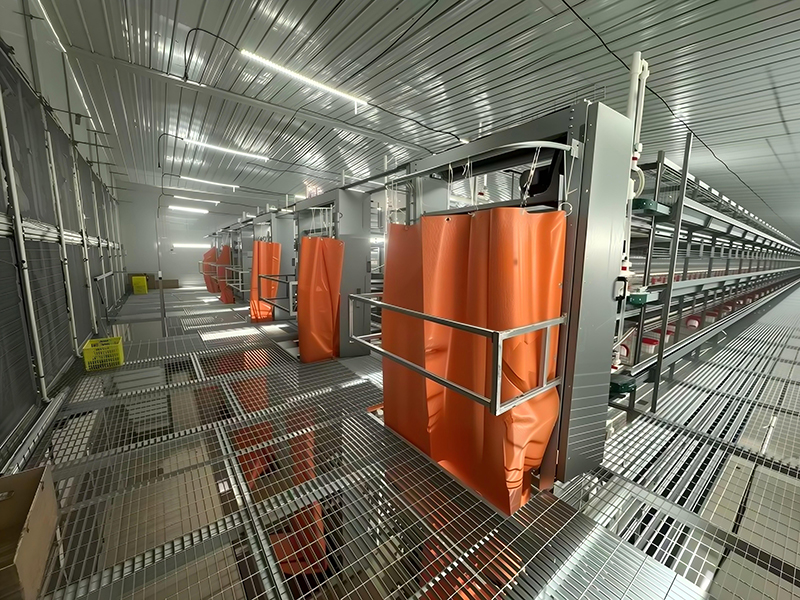 Poultry Manure Scraper Machine Manure Removal System Wholesale - FAMOU 2