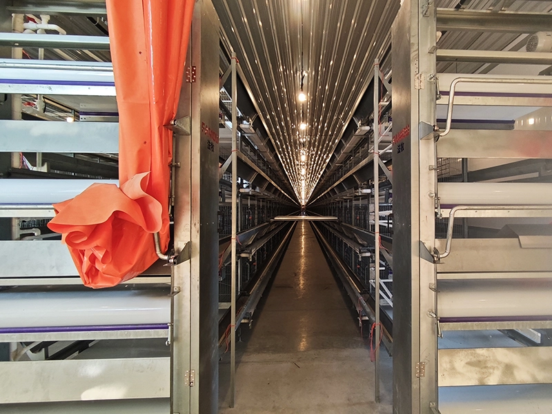 Sistema de eliminación de estiércol en interiores, duradero y de alta eficiencia. 1