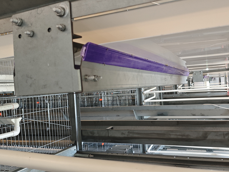 Poultry Manure Scraper Machine Manure Removal System Wholesale - FAMOU 4