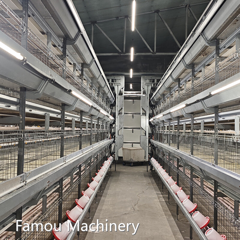 Layer Cage System Layer Hen Cages for Sale Manufacturers 1