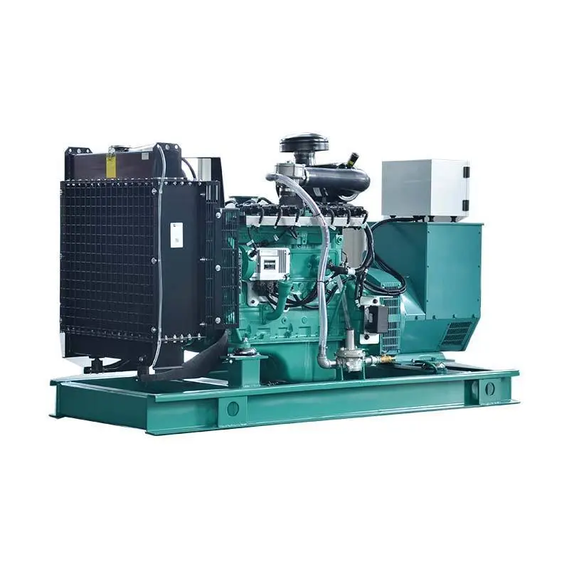 40KW Three Phase Natural Gas Generator Set 1