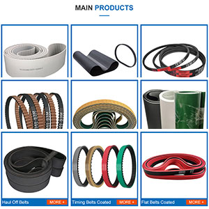 Quality DBT5 Sausage machine belt Manufacturer | Yonghang 12