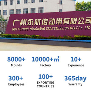 Quality DBT5 Sausage machine belt Manufacturer | Yonghang 13