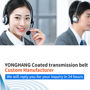 Quality DBT5 Sausage machine belt Manufacturer | Yonghang 11
