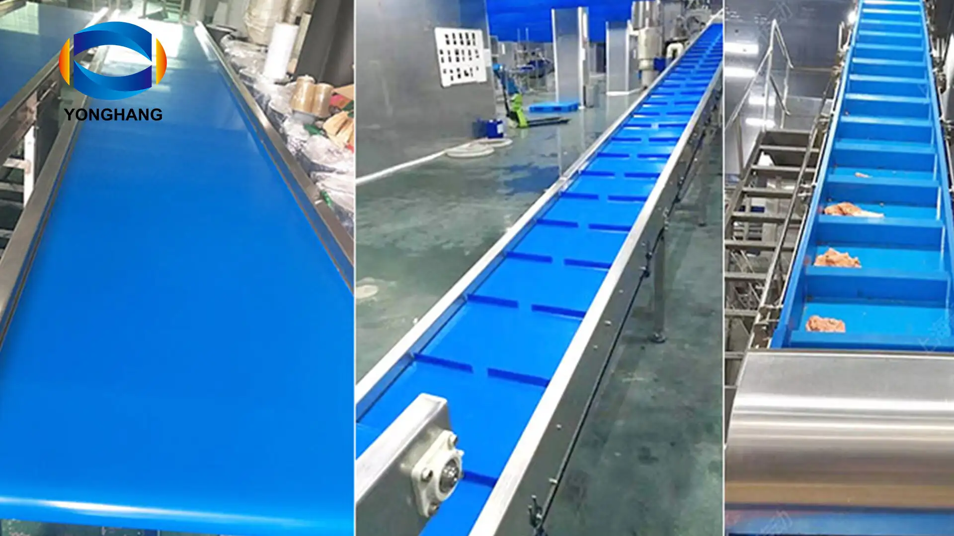 ReoClean blue PU Conveyor Belt For Fruit Vegetable Meat Seafood 1