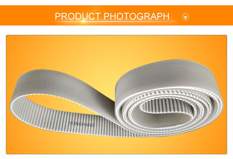 Customized Top Diamond Pattern Pu Teethed Belts 6