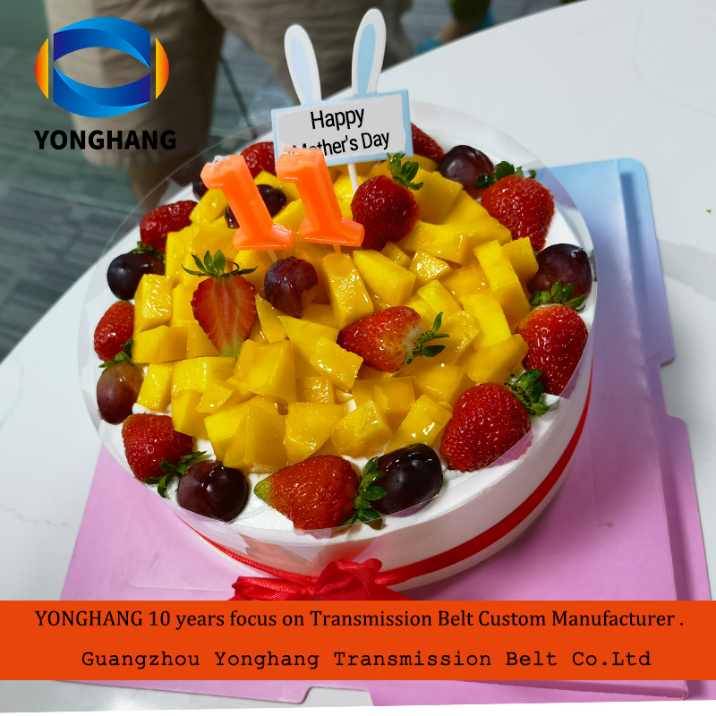 Happy Mother's Day from the timing belts manufacturer 2