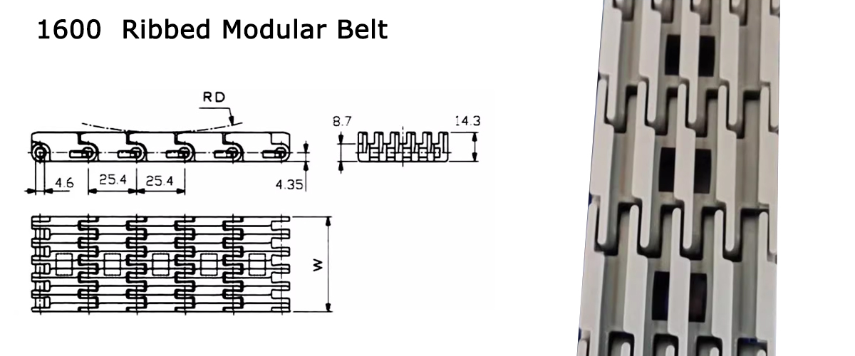  Cinturón modular con costillas elevadas 1600 dayta