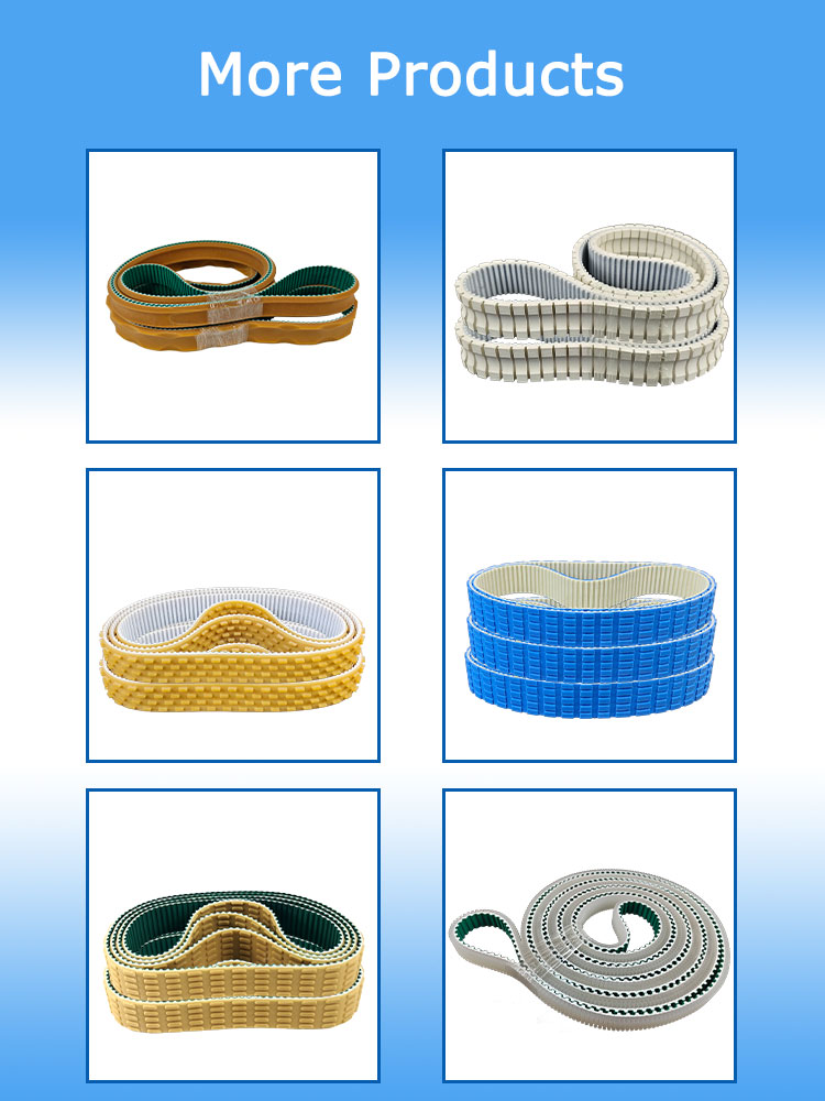 Quality DBT5 Sausage machine belt Manufacturer | Yonghang 10