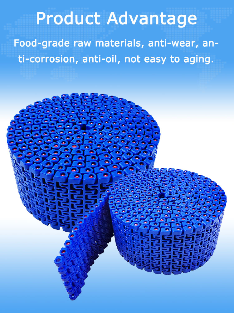 Yonghangbelt Modular Conveyor Belt 12