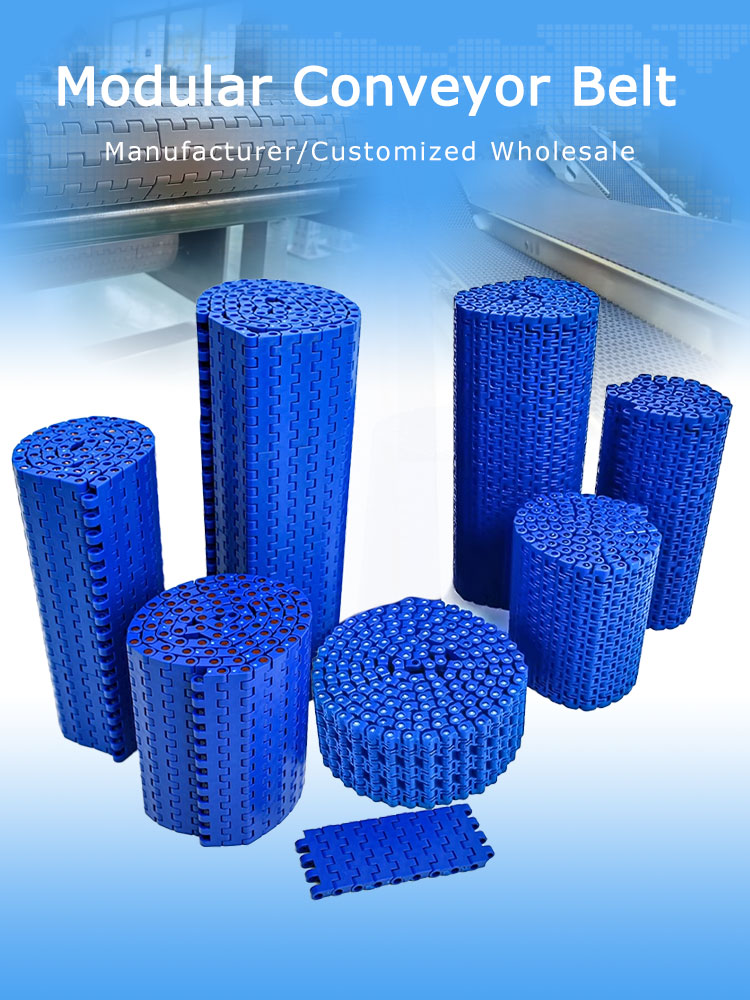Yonghangbelt Modular Conveyor Belt 8