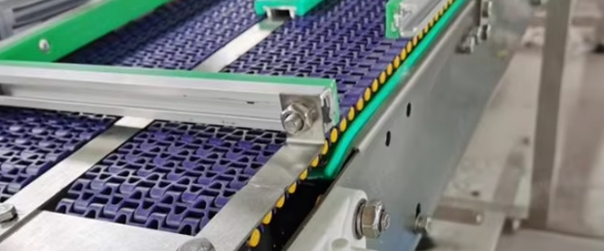 1230 Blue Color Pitch 12.7mm POM PP Plastic Turning Curved Modular belt for Washing of fruits and vegetables 6