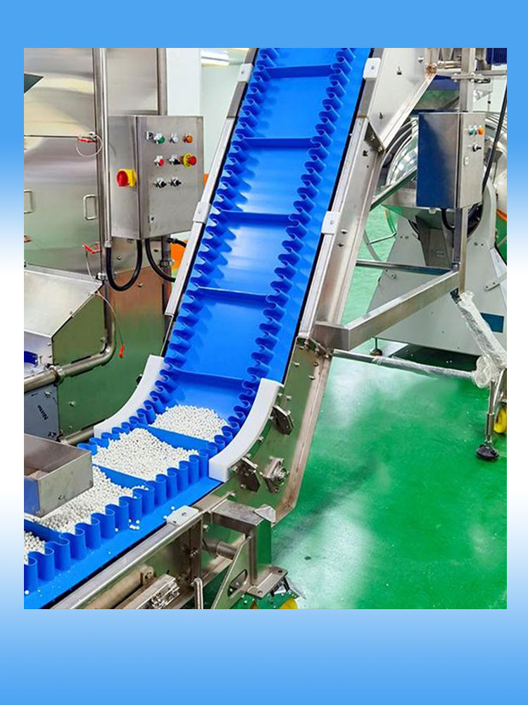 Easy Clean Conveyor Belt 14