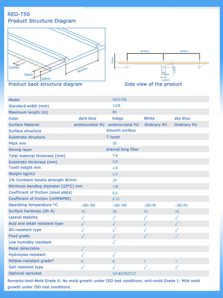 Easy Clean Conveyor Belt 9