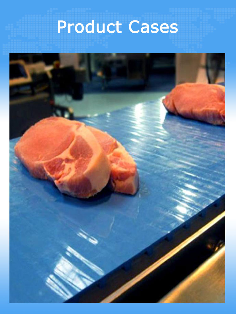 Easy Clean Conveyor Belt 13