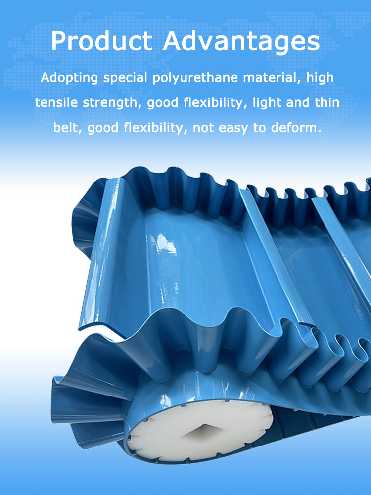 Easy Clean Conveyor Belt 10