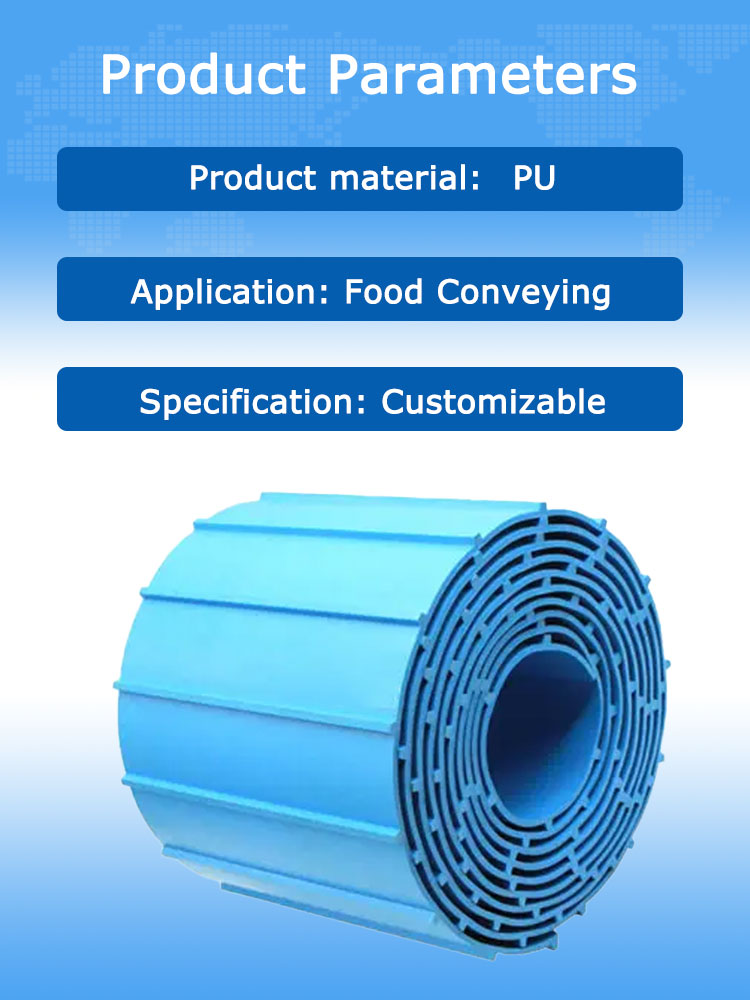 Easy Clean Conveyor Belt 8