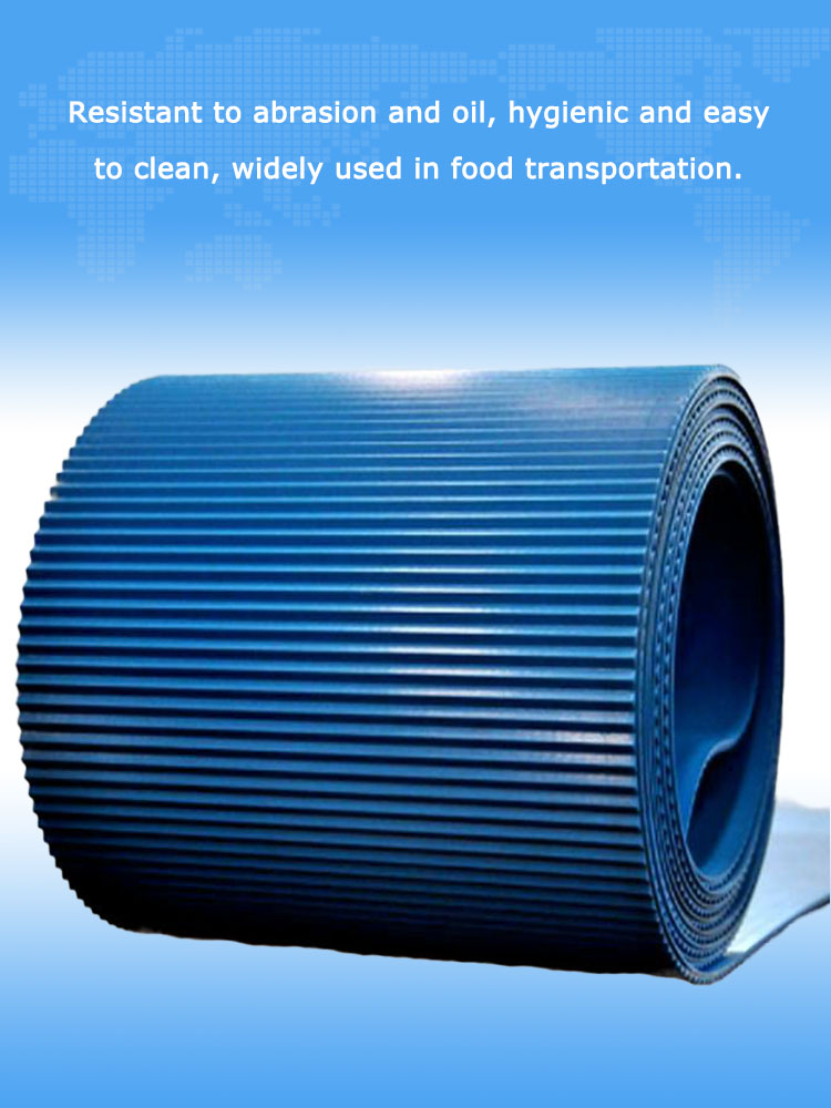 Easy Clean Conveyor Belt 12