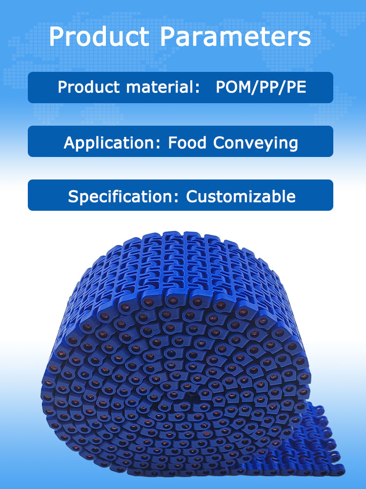 Yonghangbelt Modular Conveyor Belt 9