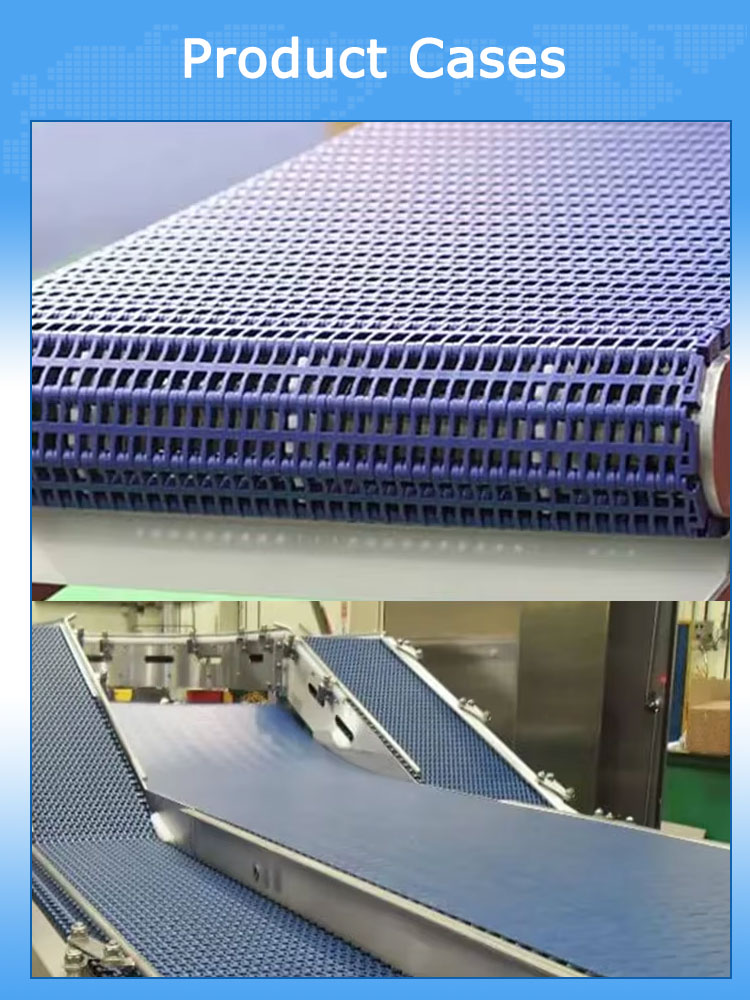 Yonghangbelt Modular Conveyor Belt 16