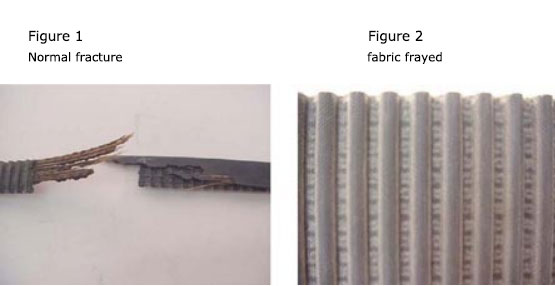 timing belts failure