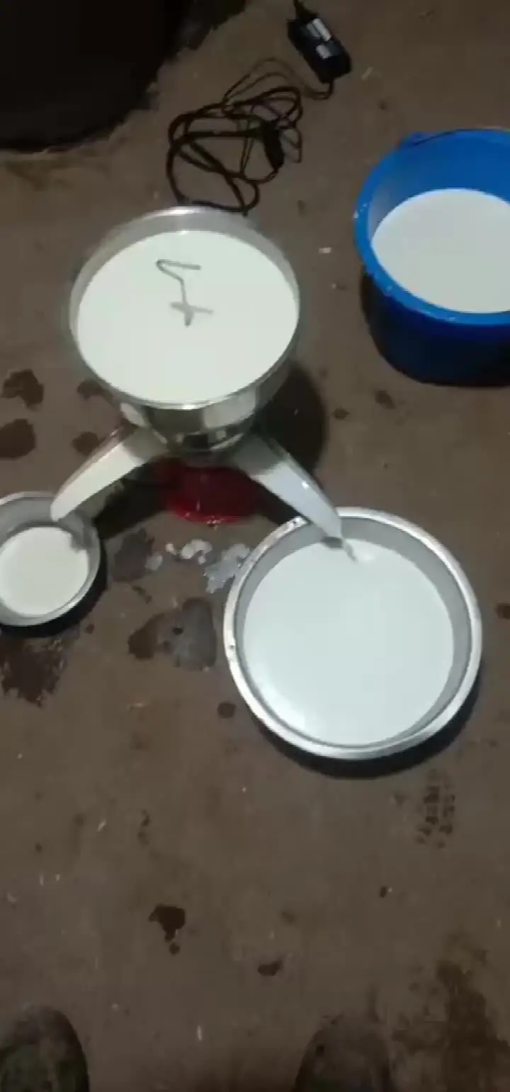 Stainless Steel Milk Cream Separator - Efficient Separation 2