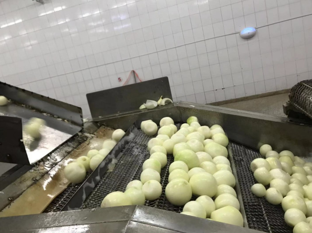 Commercial Automatic Onion Peeling Machine with Skin Peeler and Root Cutting 7