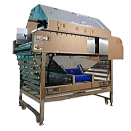 Commercial Automatic Onion Peeling Machine with Skin Peeler and Root Cutting 4