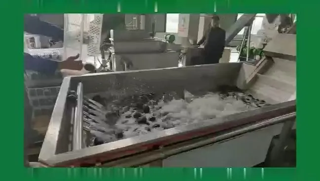 Centrifuge Machine Avocado Oil Production Line