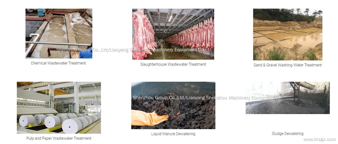 2 Phase Decanter Centrifuge from Shenzhou China 4