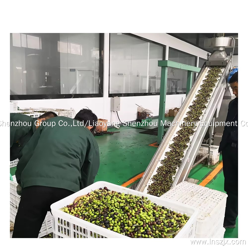 Virgin Olive Oil centrifuge separation machines from China Shenzhou 3