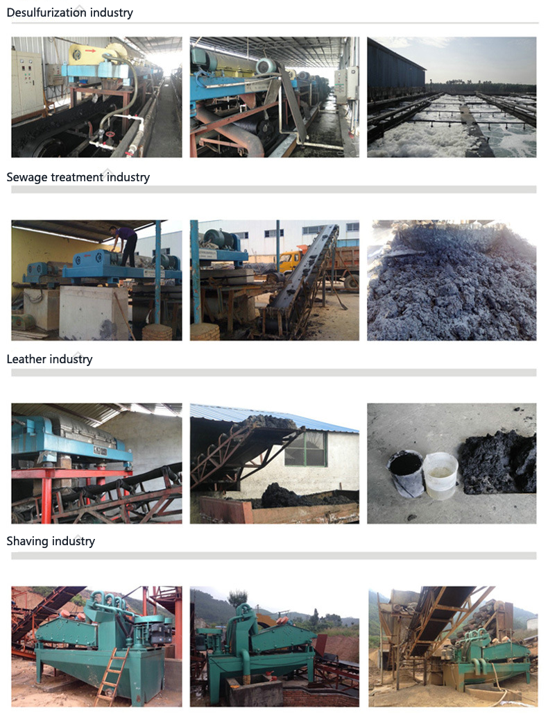 Horizontal Decanter Centrifuge Machine - LW Series for Separating Soybean Protein, Wheat Starch Slurry, Fish, and Meat 4