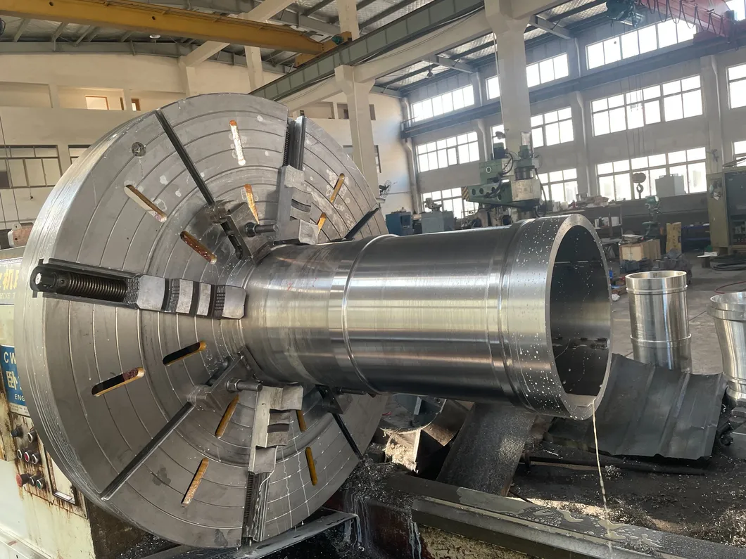 Shenzhou Ddgs Dewatering Decanter Centrifuge for Use in Ddgs Separation Process