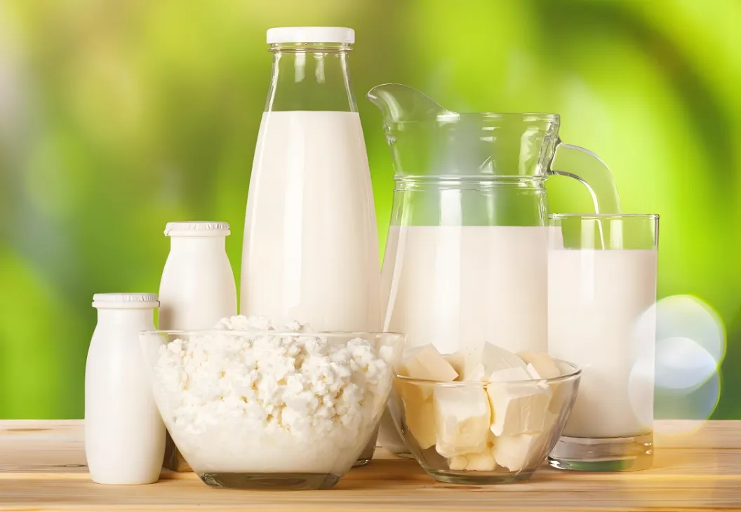 Milk and Cream Separator Machine for Milk Degrease Industry Centrifuge