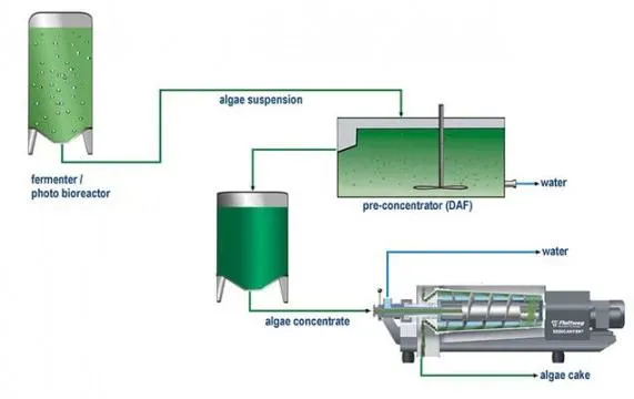 Automatic Separating Disc Centrifuge for Marine Algae/Seaweed Extraction