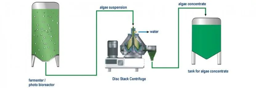 Automatic Separating Disc Centrifuge for Marine Algae/Seaweed Extraction