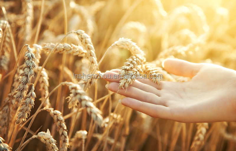 Shenzhou - decanter Centrifuges for wine and beer production Centrifuge & Separator 10