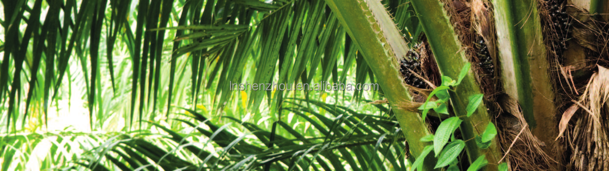 Shenzhou - High oil yield palm kernel oil extraction machine palm nut fiber separator and nut shell cracker machine whole plant Decanter centrifuge 11