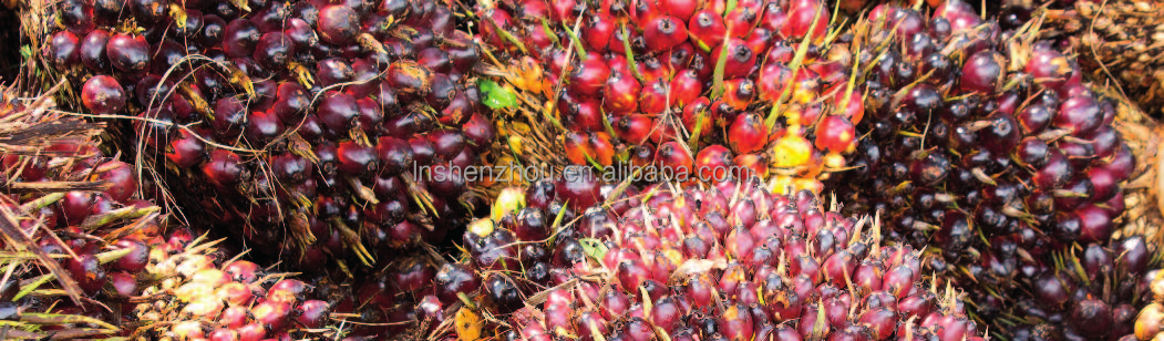 Shenzhou - High oil yield palm kernel oil extraction machine palm nut fiber separator and nut shell cracker machine whole plant Decanter centrifuge 8