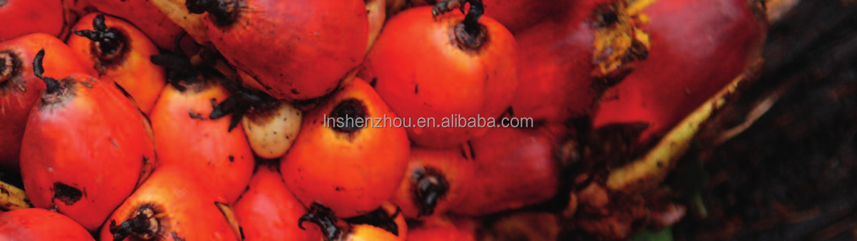 Shenzhou - Horizontal Industrial Decanter Centrifuge Machine Palm Oil Sludge Separation Waste Mud Decanter Centrifuge Centrifuge & Separator2 10