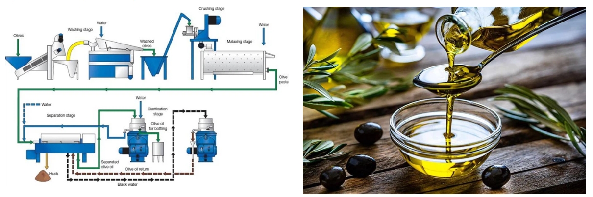 Shenzhou - decanter centrifuge food olive industry Centrifuge & Separator 9