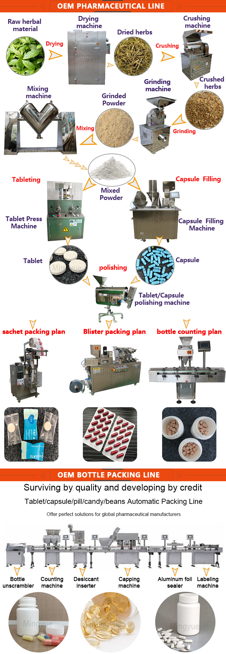 Shenzhou - Stainless steel black pepper powder grinding machine Hot selling machine 8