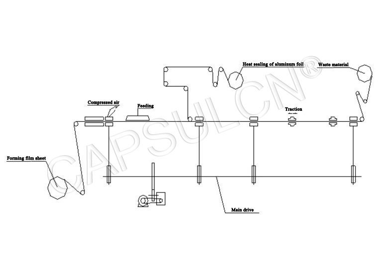 Shenzhou - DPP-88 Alu PVC Automatic Honey Liquid Blister Packing Machine Filling&Packing Machine 10