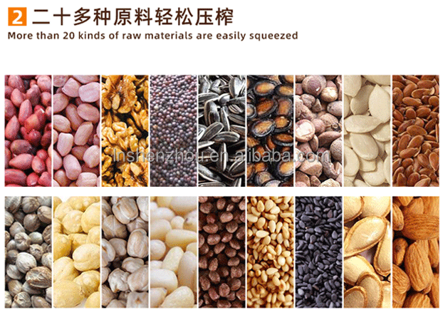 Shenzhou - home use mini oil press machine Oil Press Machine 13