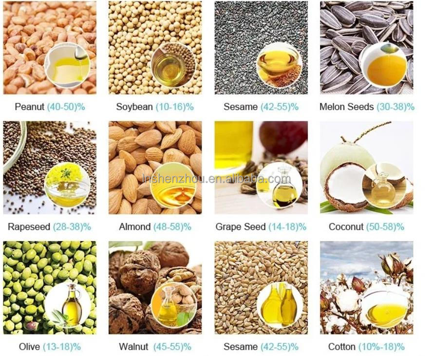 Shenzhou - New design home use mini nut oil press machine/hot Walnut seed oil pressing machine for sale Oil Press Machine 17