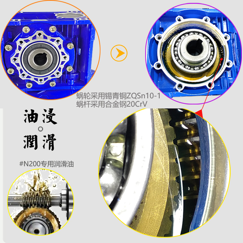 Shenzhou - Stainless Steel Oil Press Machine Commercial Home Extractor 2021 Hot Expeller Price Oil Press Machine 12